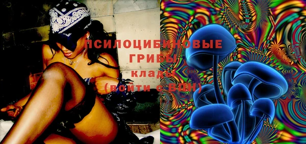 а пвп мука Верхний Тагил