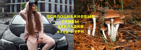 а пвп мука Верхний Тагил