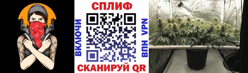 Шишки марихуана Bruce Banner Злынка